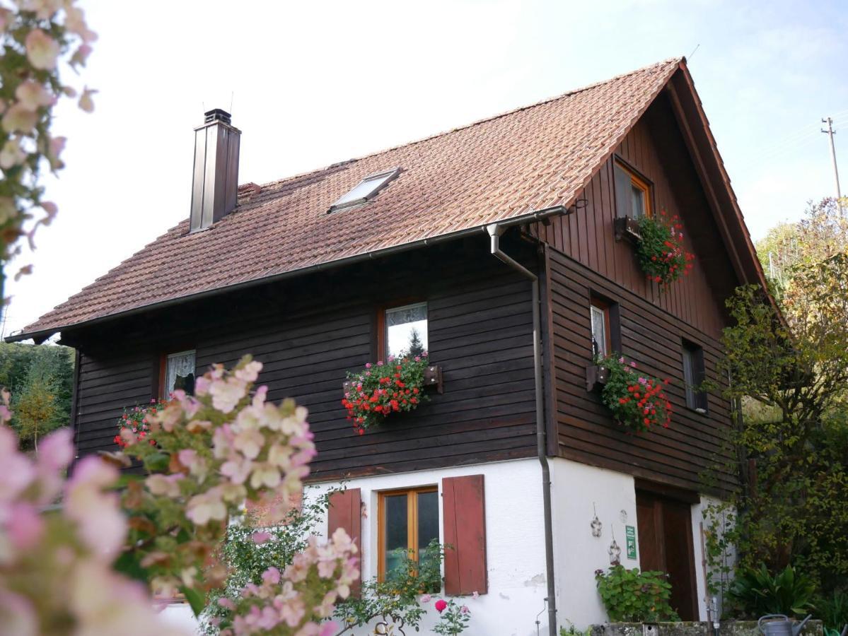 Villa Buchenhof Zell am Harmersbach Exterior foto